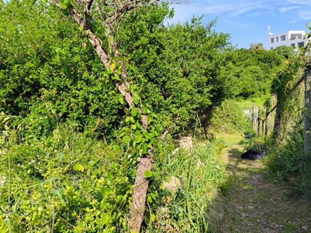 Property for sale in Cape St Francis, Eastern Cape