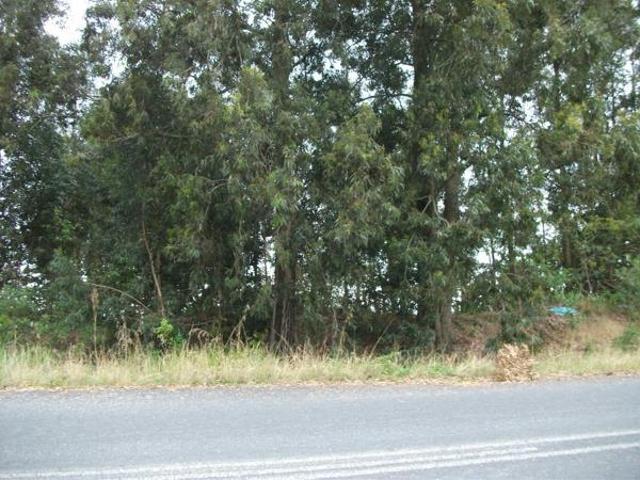 Property for sale in Ugu District Municipality, Kwazulu-natal
