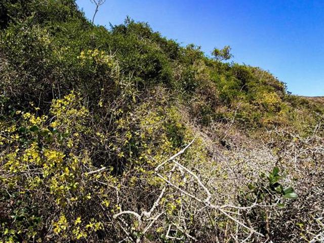 Property for sale in Nelson Mandela Bay Ward 18, Nelson Mandela Bay Metropolitan Municipality