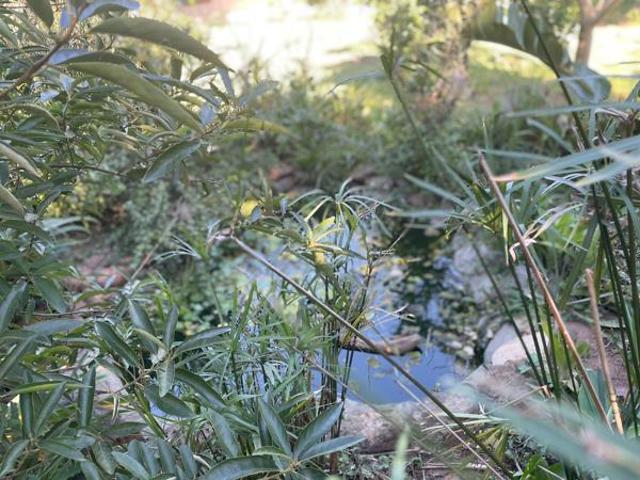 Property for sale in Bushmans River Mouth, Eastern Cape