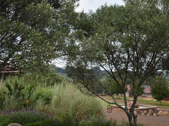 Property for sale in Dullstroom, Mpumalanga