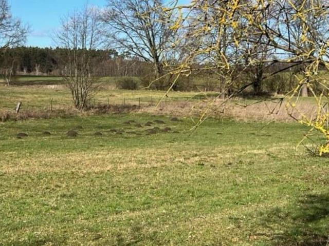 Erdgeschosswohnung kaufen in Primank, Spornitz