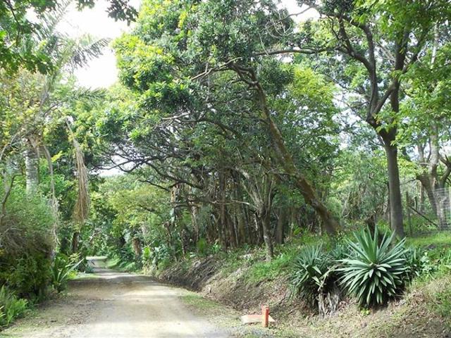 Property for sale in Ugu District Municipality, Kwazulu-natal
