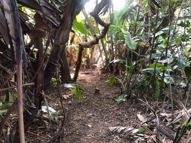 Property for sale in Ugu District Municipality, Kwazulu-natal
