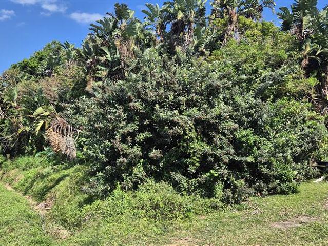 Property for sale in Southbroom, Hibiscus Coast Local Municipality