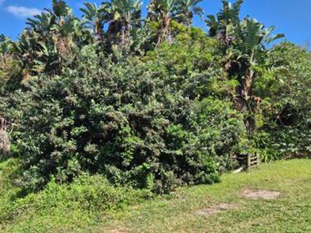 Property for sale in Ugu District Municipality, Kwazulu-natal