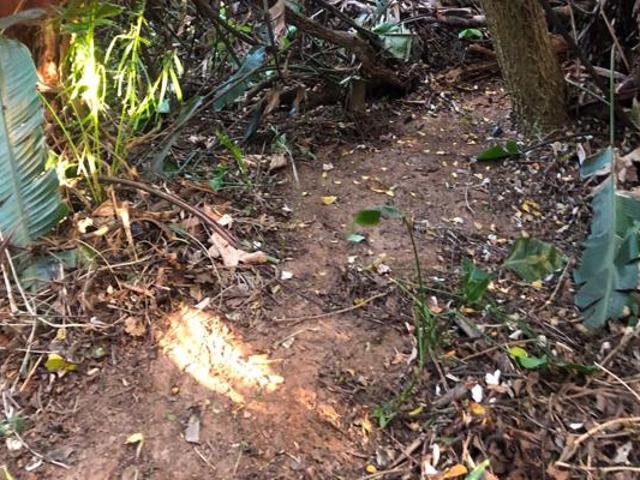 Property for sale in Ugu District Municipality, Kwazulu-natal