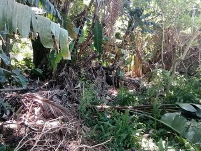 Property for sale in Ugu District Municipality, Kwazulu-natal