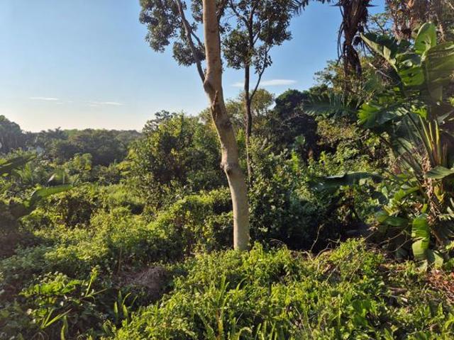Property for sale in Ugu District Municipality, Kwazulu-natal
