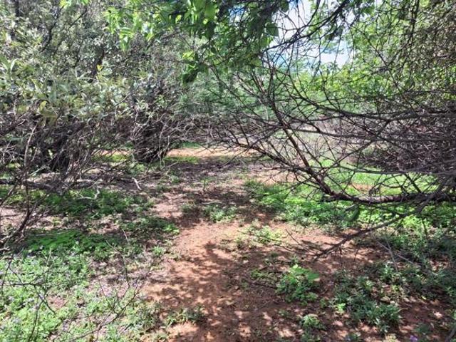 Property for sale in Koppies, Free State