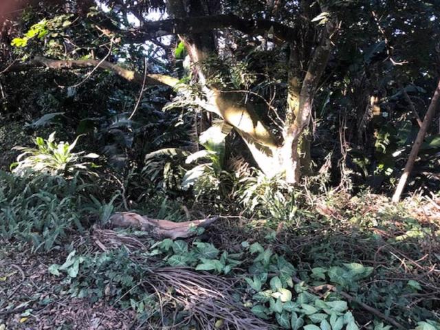 Property for sale in Ugu District Municipality, Kwazulu-natal