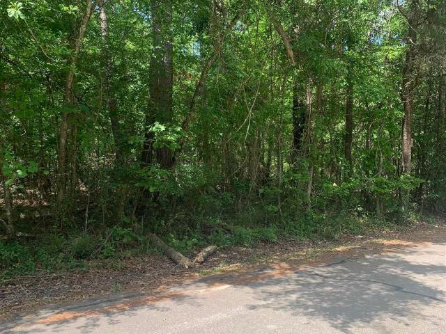 Land for sale in Walker, Louisiana
