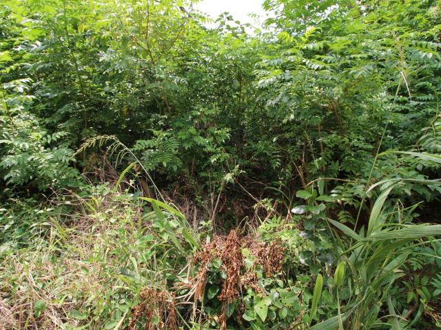 Property for sale in Ugu District Municipality, Kwazulu-natal