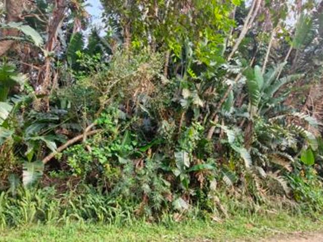 Property for sale in Southbroom, Hibiscus Coast Local Municipality