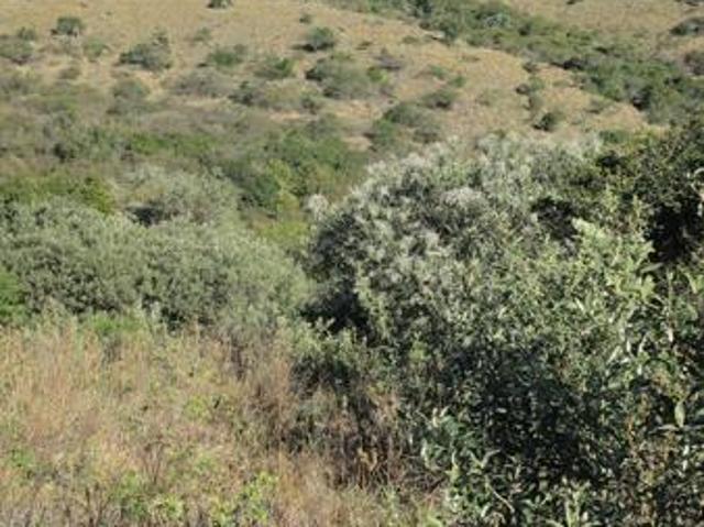 Property for sale in Bisho, Eastern Cape