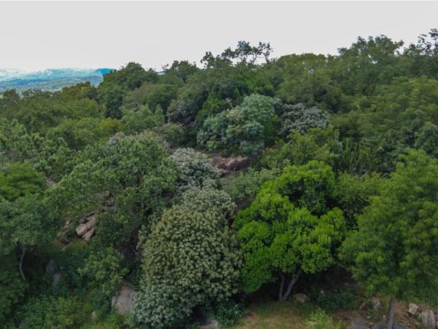 Property for sale in Ehlanzeni, Mpumalanga