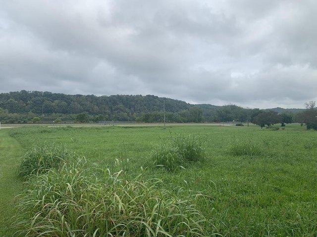 Land for sale in Sistersville, Tyler County
