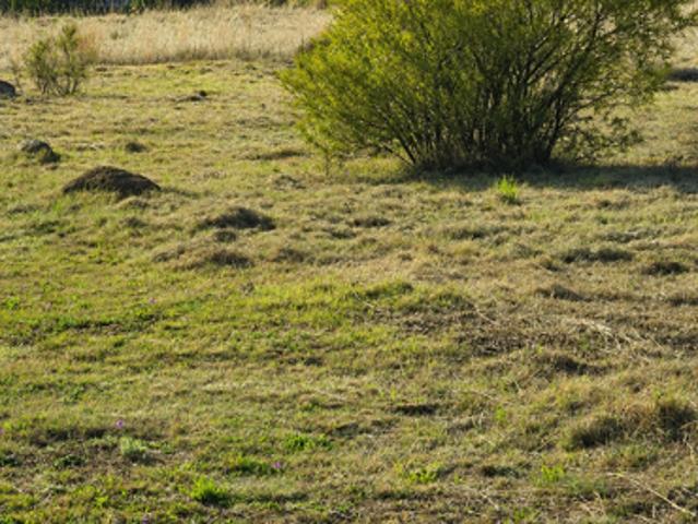Property for sale in Gauteng