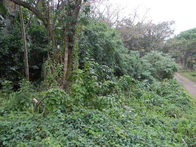 Property for sale in Port Edward, Hibiscus Coast Local Municipality