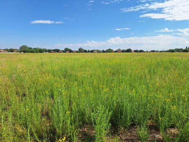 Property for sale in Lejweleputswa, Free State