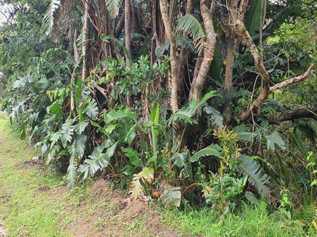 Property for sale in Port Edward, Hibiscus Coast Local Municipality