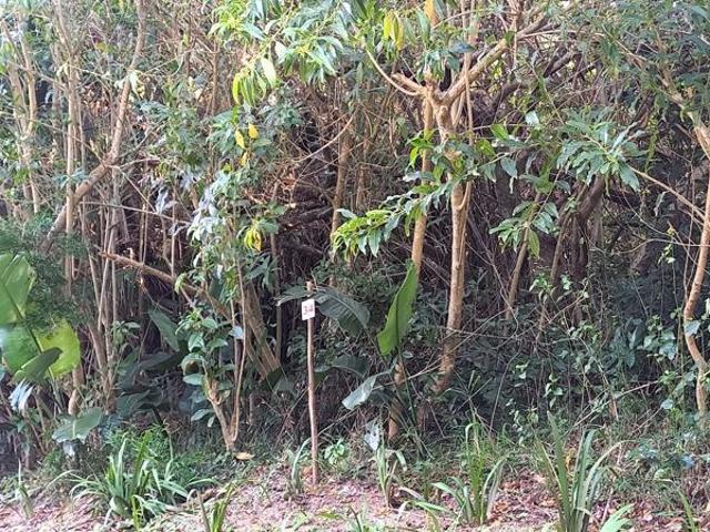 Property for sale in Ugu District Municipality, Kwazulu-natal