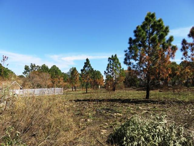 Property for sale in Oranjeville, Free State