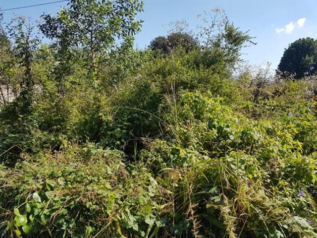 Property for sale in Ehlanzeni, Mpumalanga