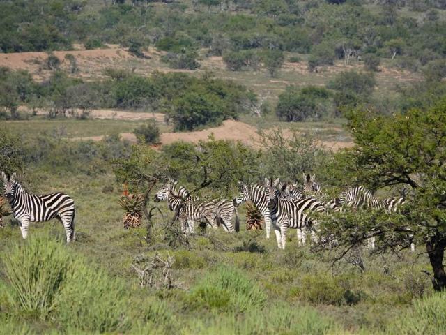 Property for sale in Graaff Reinet, Eastern Cape