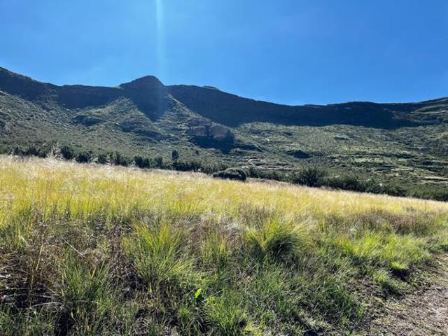 Property for sale in Rosendal, Free State