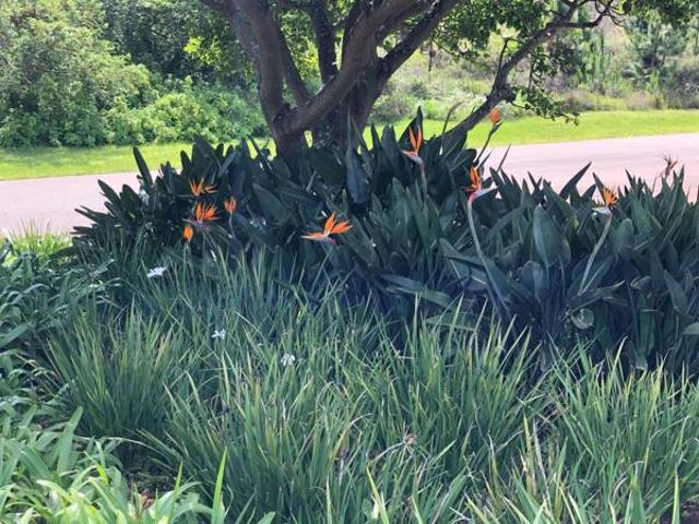 Property for sale in Ugu District Municipality, Kwazulu-natal