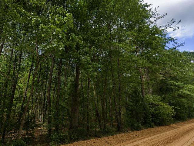 Land for sale in Walker, Texas