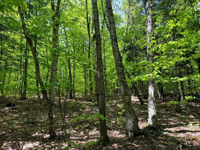 Land for sale in Chester, New York