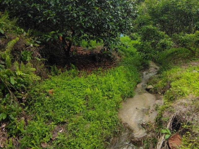 Property for sale in Kajang, Langat
