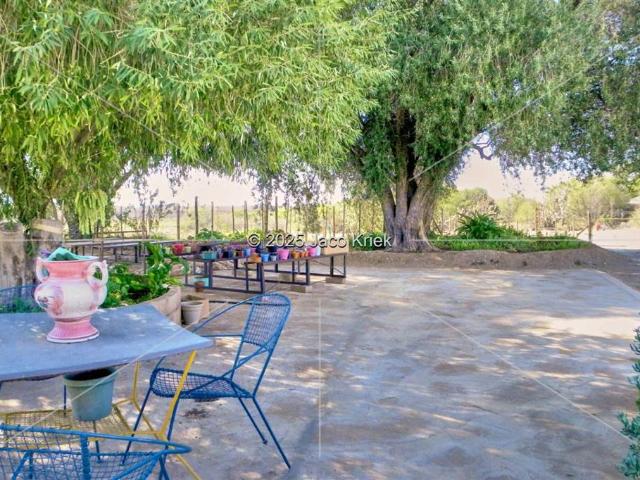 Farm for sale in Upington, Northern Cape