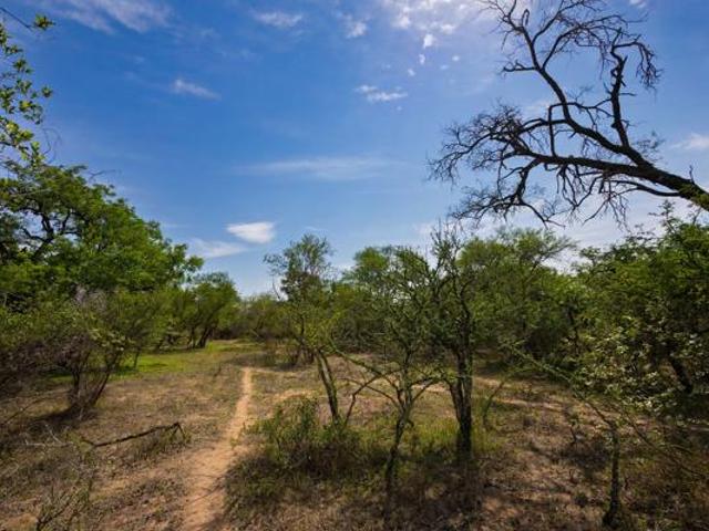 Land for sale in Mopani, Limpopo