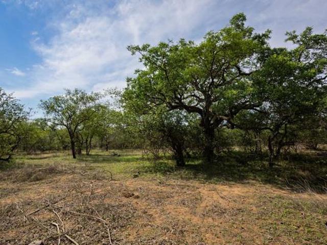 Land for sale in Mopani, Limpopo