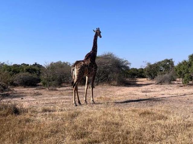 Land for sale in Mopani, Limpopo