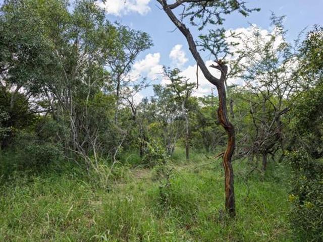 Land for sale in Mopani, Limpopo