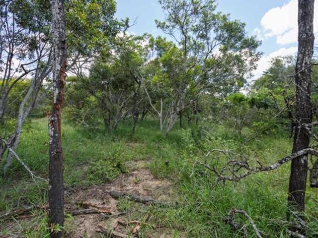 Land for sale in Mopani, Limpopo