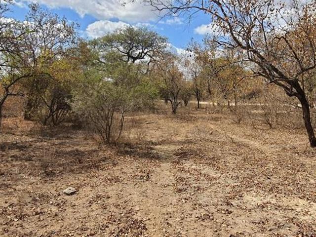 Land for sale in Mopani, Limpopo
