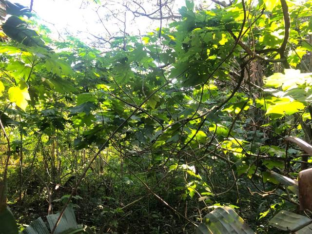 Land for sale in Ugu District Municipality, Kwazulu-natal