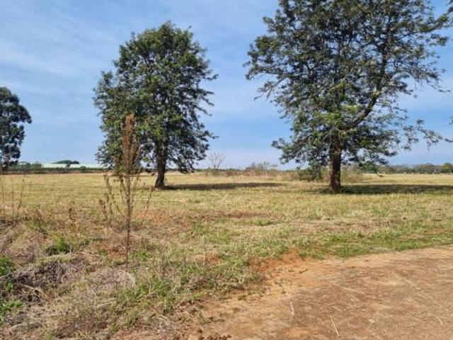 Land for sale in Ehlanzeni, Mpumalanga