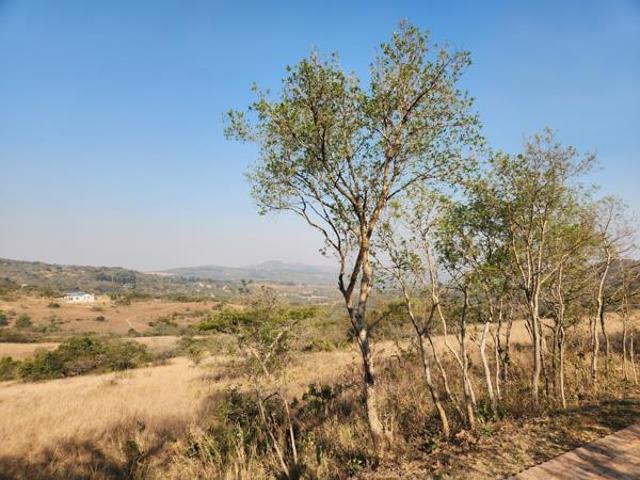 Land for sale in Ehlanzeni, Mpumalanga