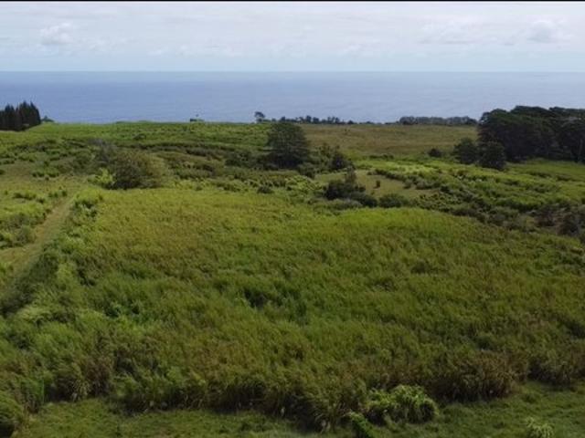 Land for sale in Hakalau, Hawaiʻi County