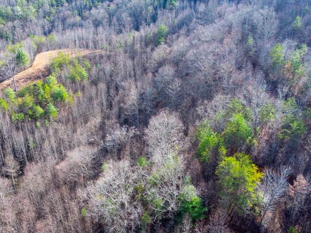 Land for sale in Graham, North Carolina