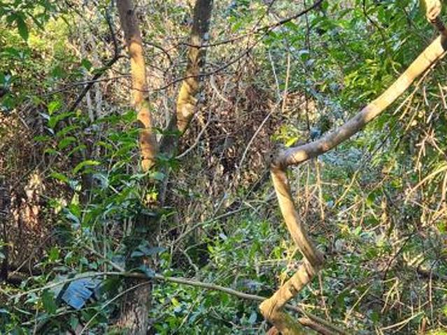 Property for sale in Ugu District Municipality, Kwazulu-natal