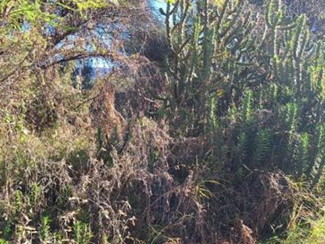 Property for sale in Potgietersrus, Limpopo