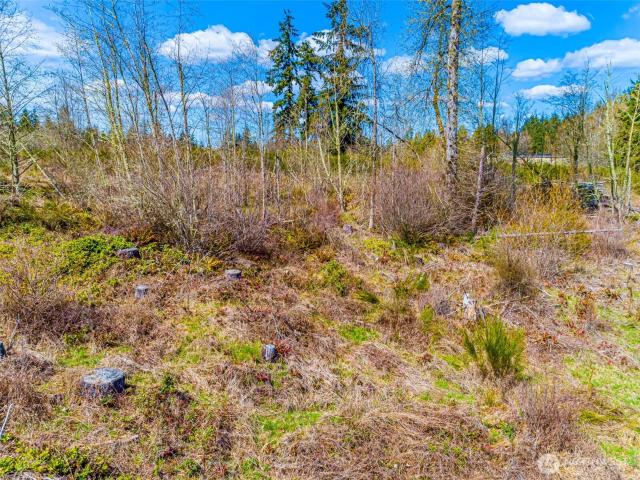 Land for sale in Roy