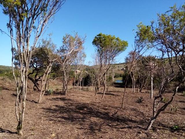 Property for sale in Bushmans River Mouth, Eastern Cape